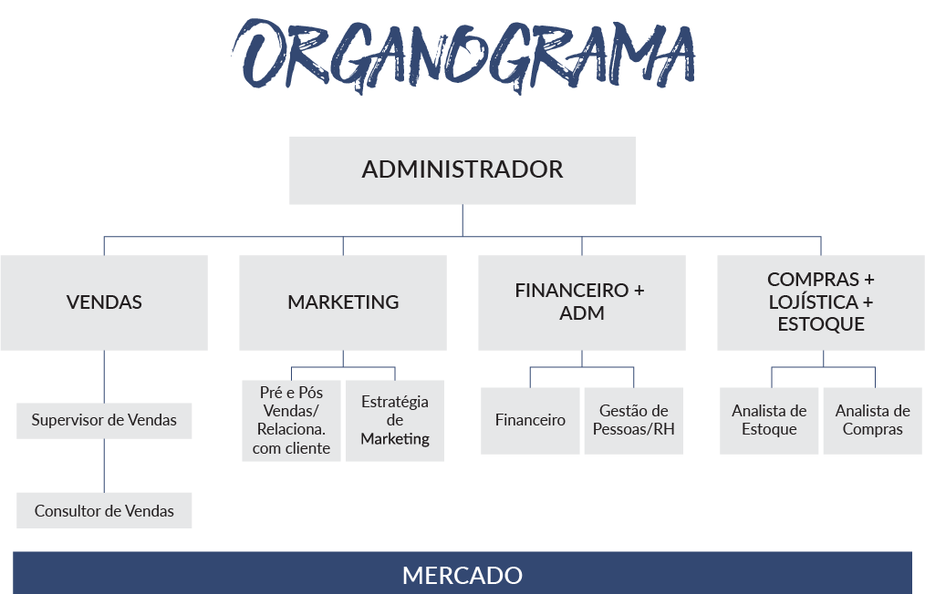 Veja como montar uma loja virtual de sucesso na sua ótica